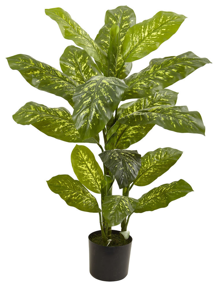 4' Dieffenbachia Real Touch Plant