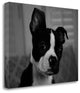 "Hugo The Thinker" By Kim Levin, Giclee Print on Gallery Wrap Canvas