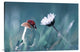 The Story Of The Lady Bug, 36"x24"