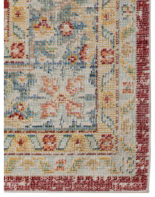 Ceniscia Haven Vintage Polyester Area Rug, Red, 2'6"x8'