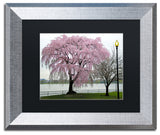 CATeyes 'Cherry Tree' Matted Framed Art, 11x14