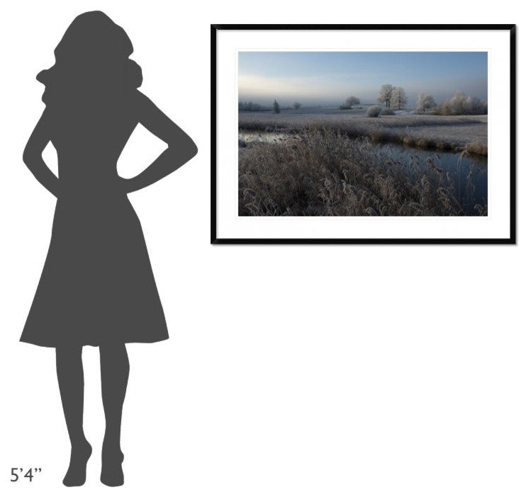 "Cold" Framed Digital Print by Nina Pauli, 44x32"