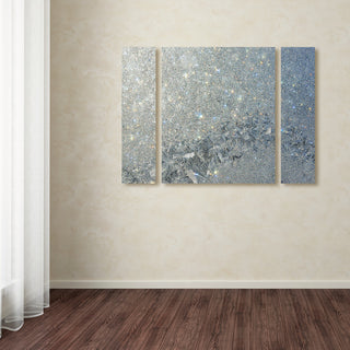 "Frost Pattern Sun Stars" Multi-Panel Canvas Art Set by Kurt Shaffer