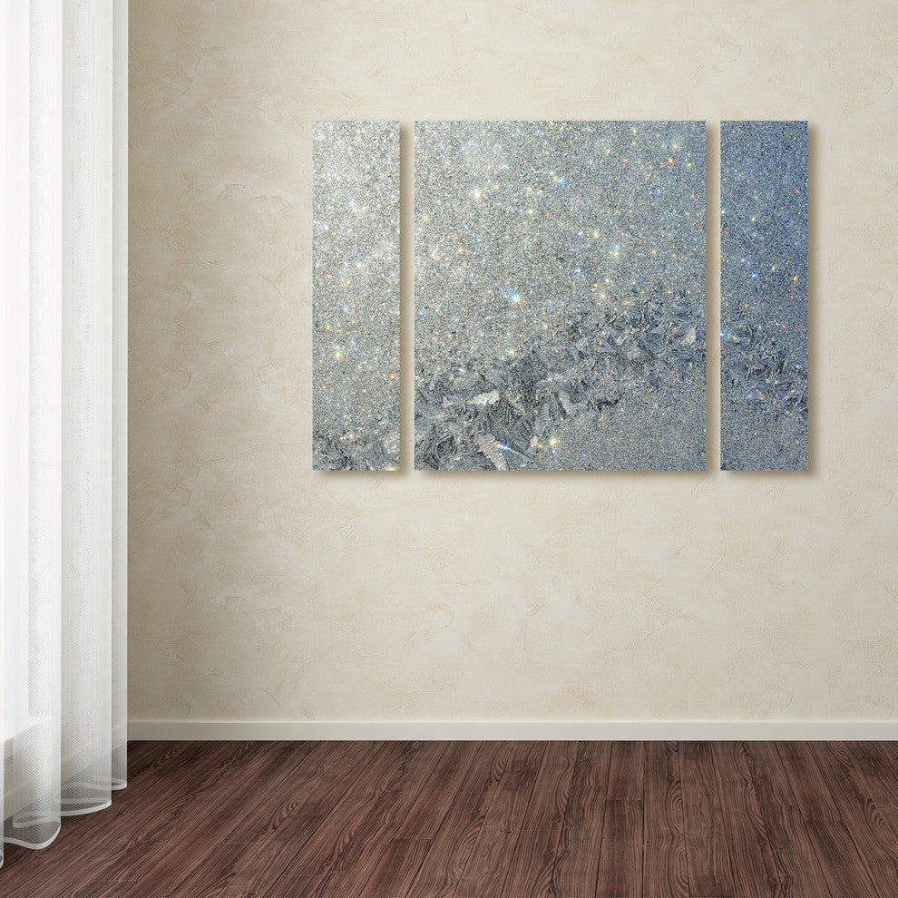 "Frost Pattern Sun Stars" Multi-Panel Canvas Art Set by Kurt Shaffer