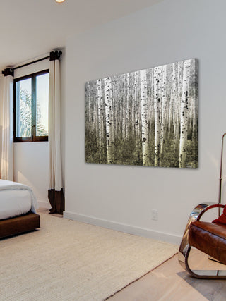 "Aspen Highlands" Fine Art Canvas Print, 36"x24"