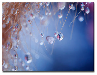Ready2HangArt 'Droplets' Wrapped Canvas Wall Decor, 40"x30"