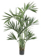 6' Kentia Palm Silk Tree