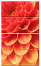 Abstract Orange Flower and Petals, Floral Canvas Art Print, 28"x48", 4 Panels