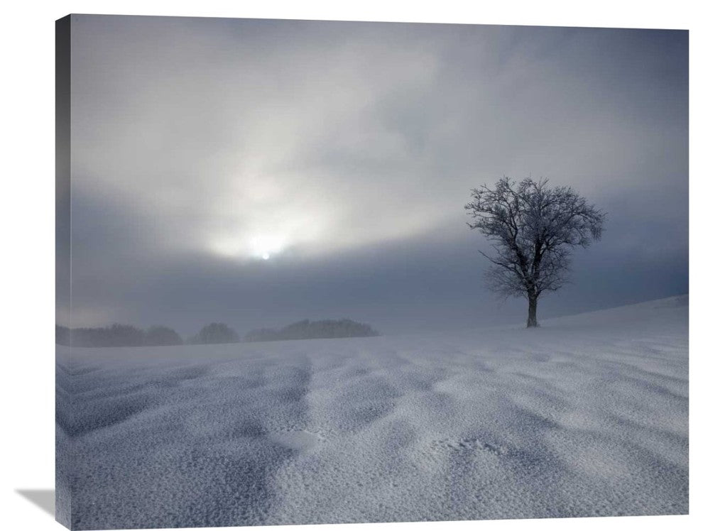 "Winter Impression" Stretched Canvas Giclee by Franz Schumacher, 36x30"