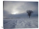 "Winter Impression" Stretched Canvas Giclee by Franz Schumacher, 36x30"