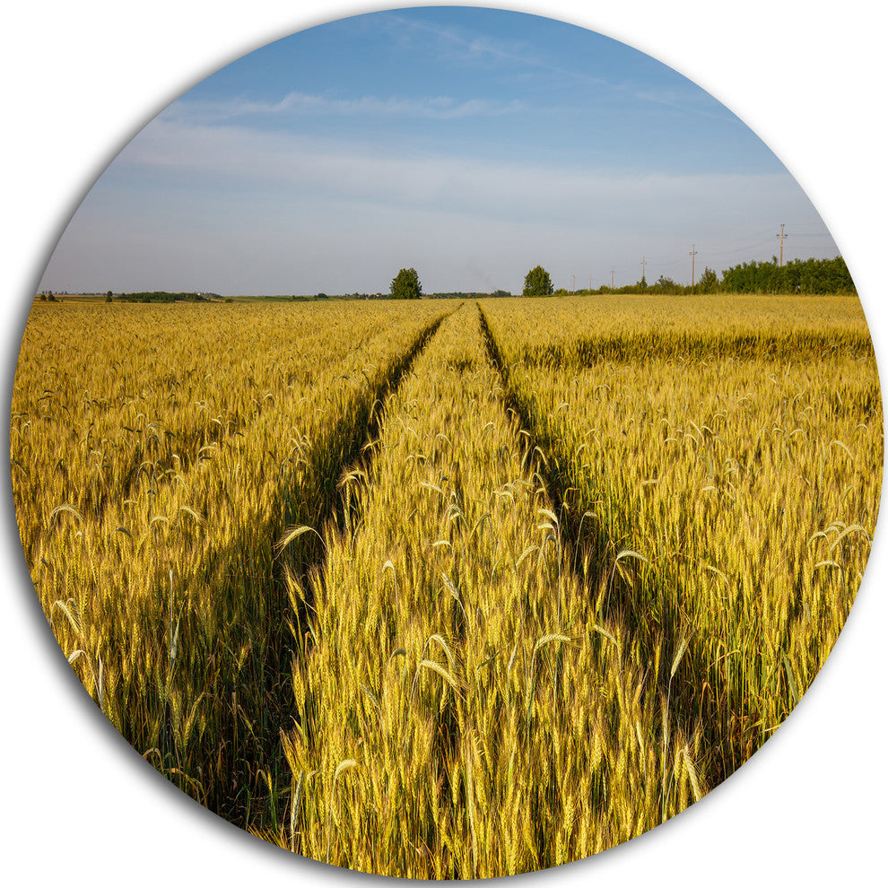 Rural Road Through Wheat Field, Landscape Disc Metal Wall Art, 36"