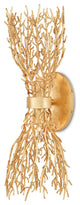 Sea Fan Wall Sconce