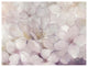 "Apple Blossoms" Digital Paper Print by Julia Purinton, 50"x38"