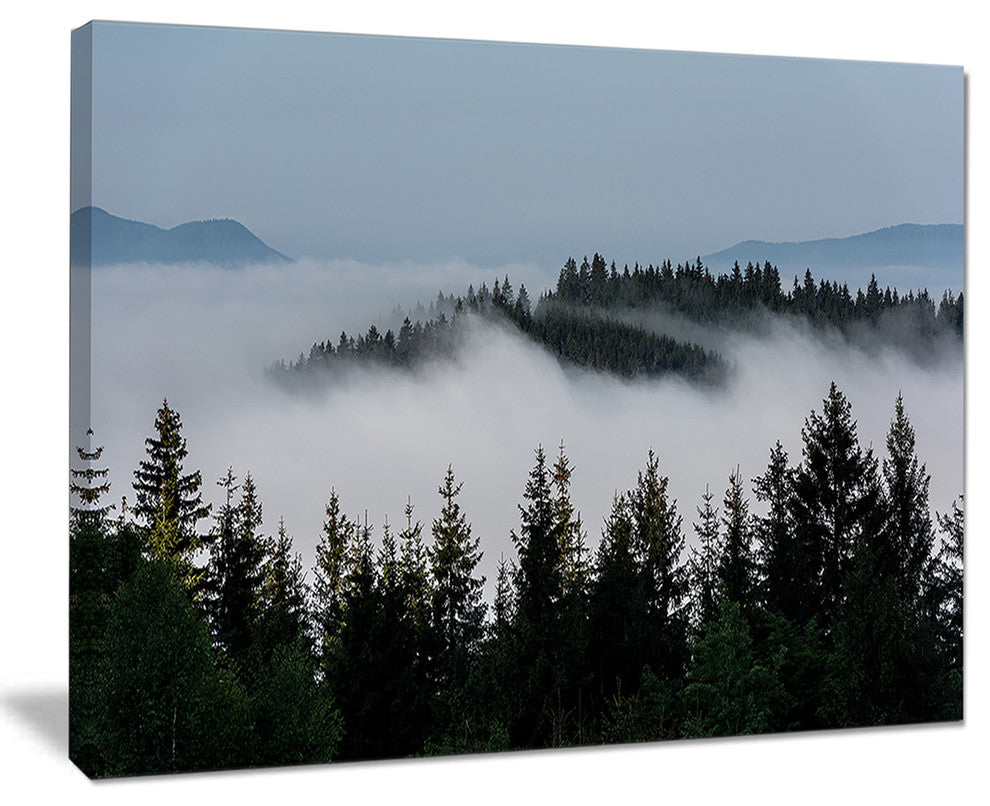 "Dark Trees and Fog Over Mountains" Canvas Print