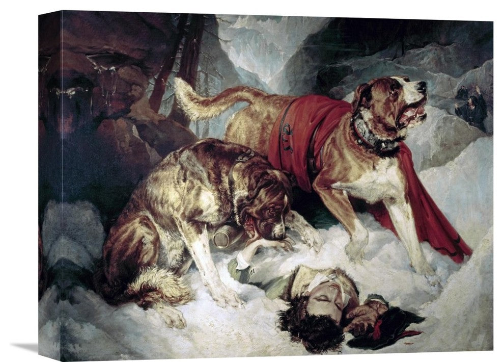 "Alpine Mastiffs Reanimating a Distressed Traveller" Artwork, 16"x12"