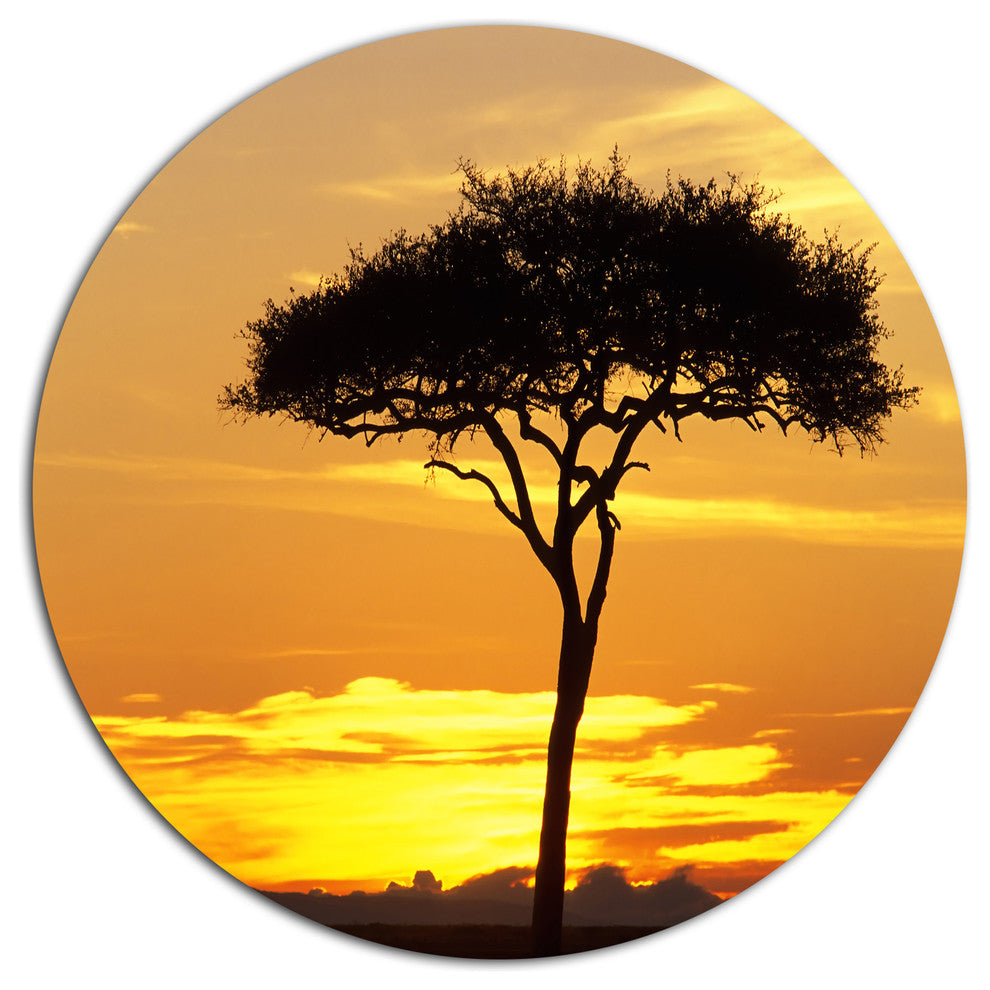 Beautiful Sunset Through Acacia Tree, African Round Metal Wall Art, 11"