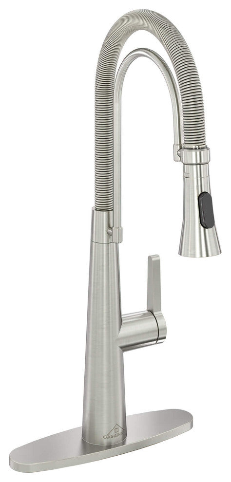 Single-Handle Spring Neck Standard Kitchen Faucet with Dual-Function, Brushed Nickel