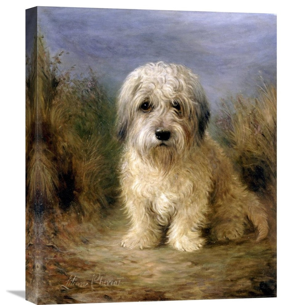 "A Dandie Dinmont" Stretched Canvas Giclee by Lilian Cheviot, 18"x22"