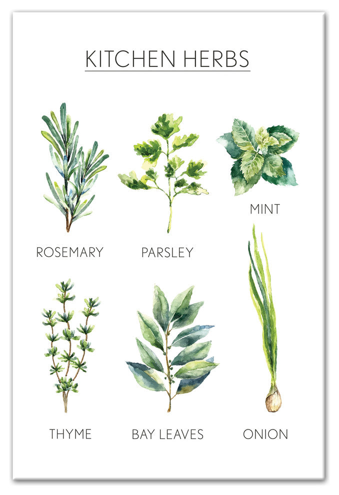 Watercolor Kitchen Herbs Handwritten 16x24 Print on Canvas