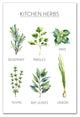 Watercolor Kitchen Herbs Handwritten 16x24 Print on Canvas