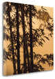 "Shadow Play II" By Madeleine Endo, Giclee Print on Gallery Wrap Canvas