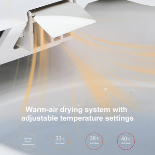 Smart One-Piece 1.27 GPF Floor Mounted Elongated Toilet and Bidet with Seat, Gold