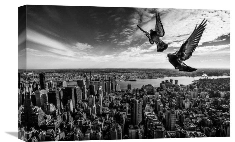 "Pigeons On The Empire State Building" Canvas by Sergiosousa, 22x15"