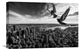 "Pigeons On The Empire State Building" Canvas by Sergiosousa, 22x15"