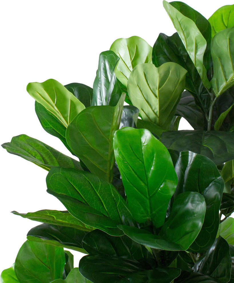 Close-up of leaves on white background (cropped/zoomed view).