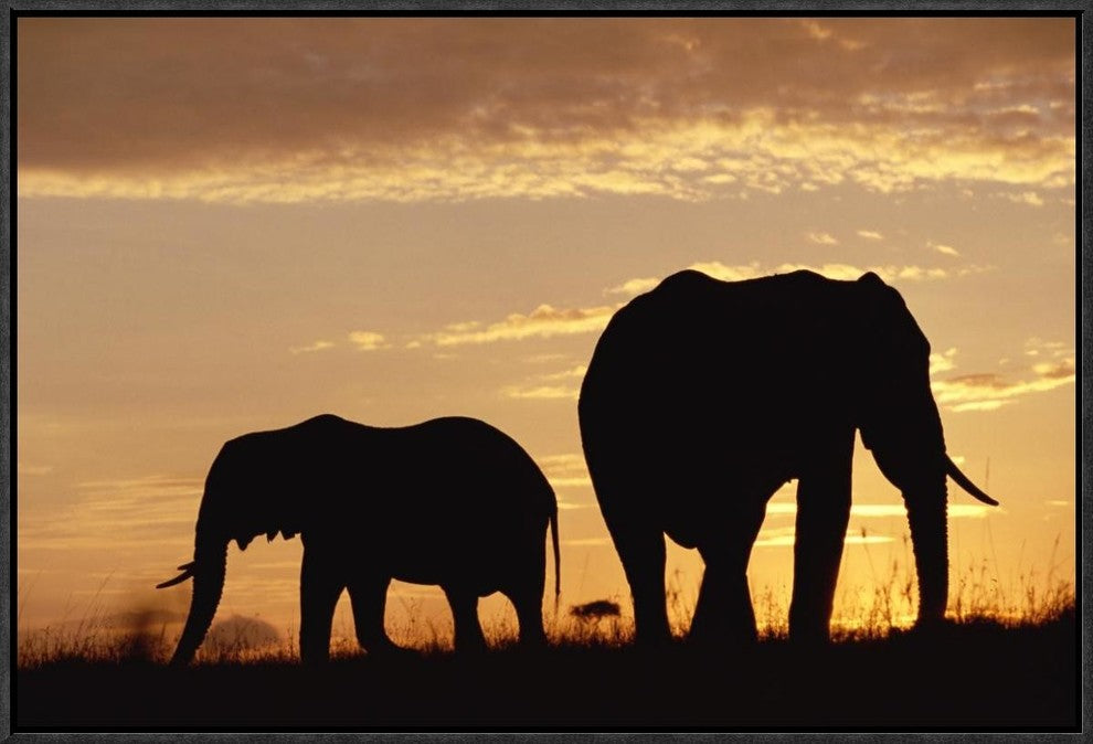 African Elephant Mother and Calf Silhouetted At Sunset, Kenya, 24"x16"