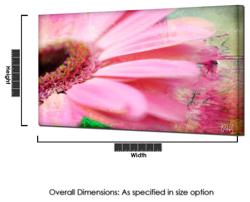 Painted Petals XLIV Canvas Art, 30"x40"