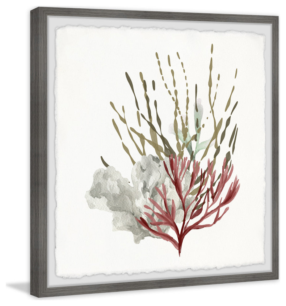 "Sea Vegetables" Framed Painting Print, 24x24