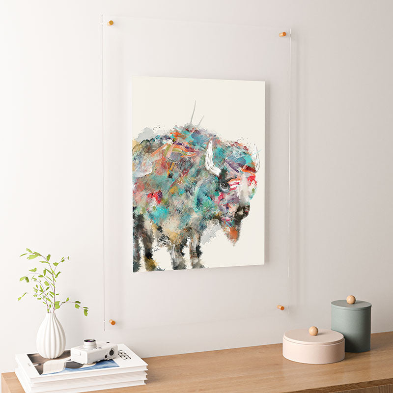 Brian Buckley Into The Wild The Buffalo Floating Acrylic Print