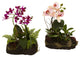 Orchid Island, Set of 2, Pink and Green