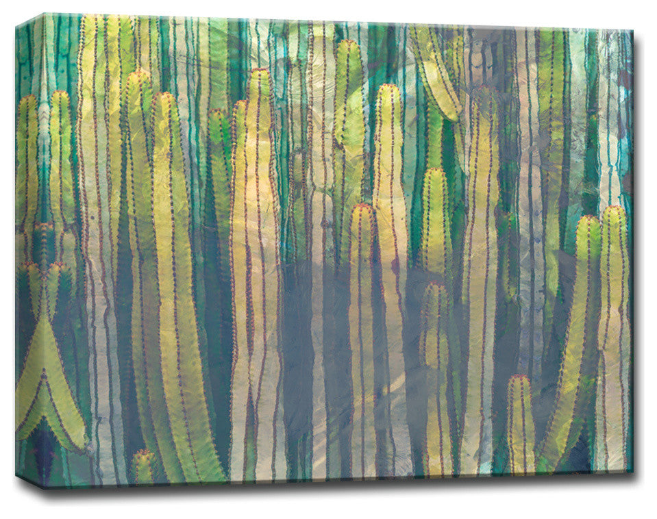 Ready2HangArt 'Cactus Gem' Gallery Wrapped Canvas Art, 20 in.