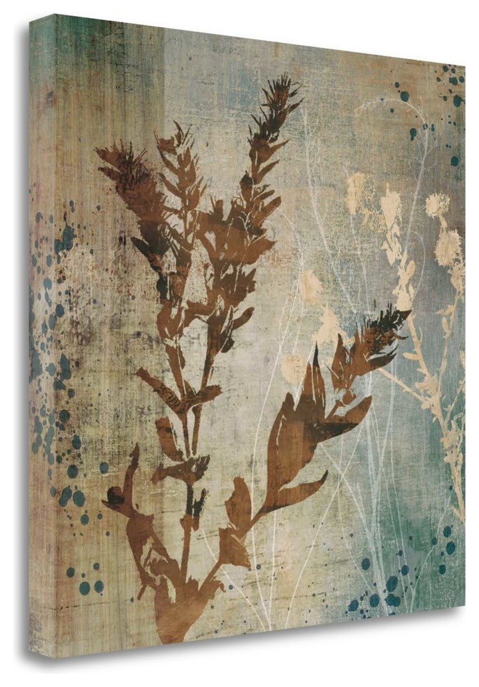 "Organic Elements II" By Tandi Venter, Giclee Print on Gallery Wrap Canvas