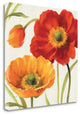 "Poppies Melody III" By Lisa Audit, Giclee Print on Gallery Wrap Canvas