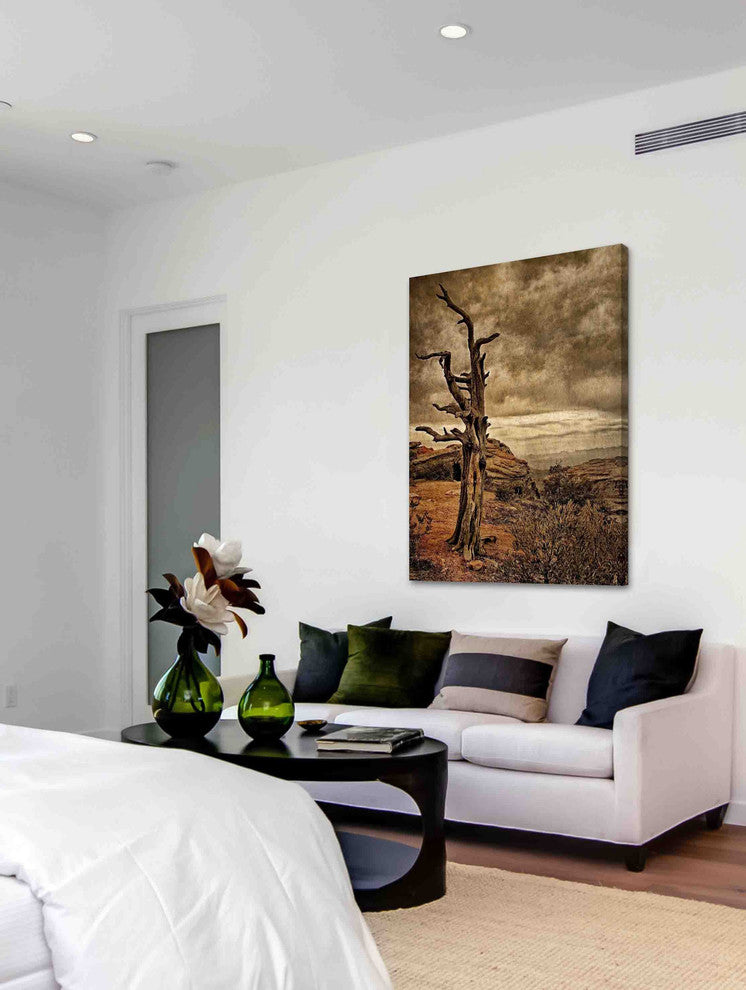"Crags and Crooks II" Painting Print on Canvas by Robertson