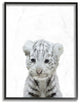 Cute Baby White Tiger Animal Kids Painting, 11"x14"