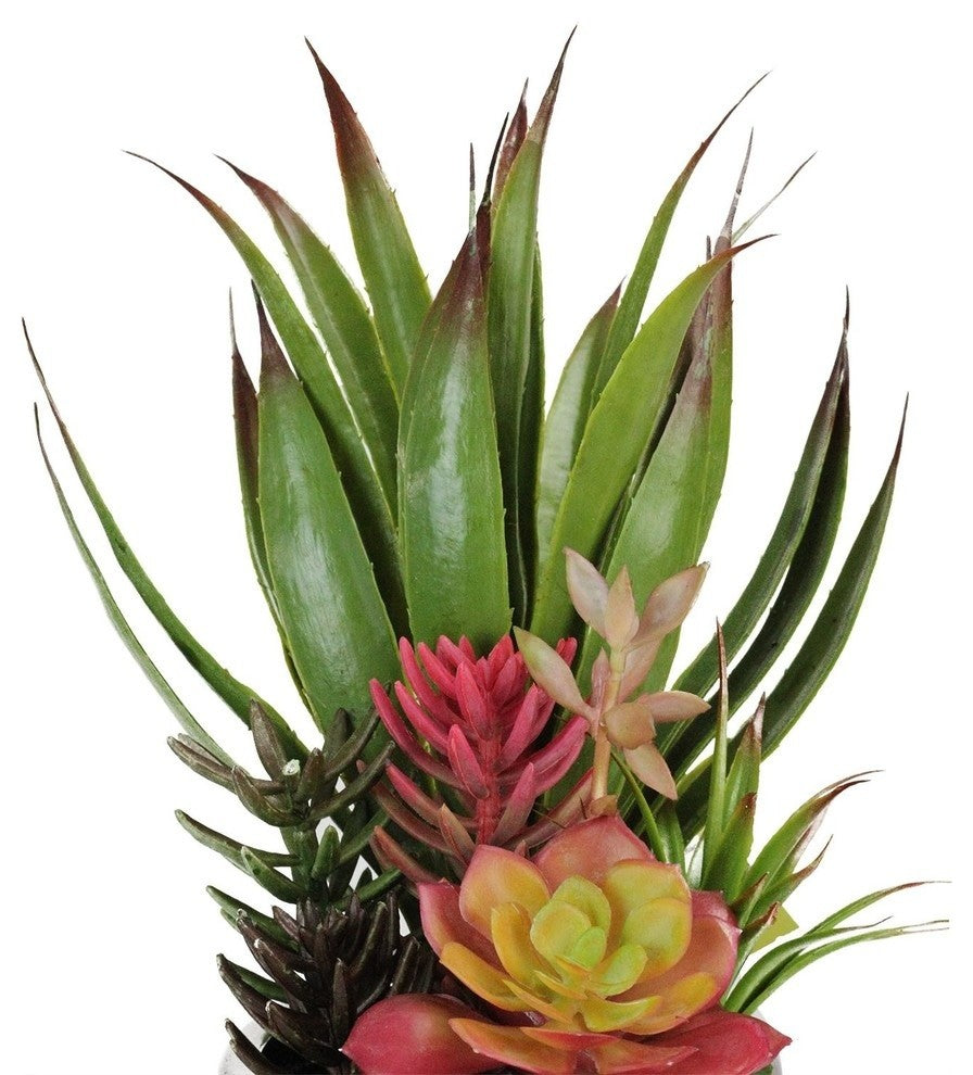 Close-up crop of the plant parts on a uniform white background; no text or diagrams.