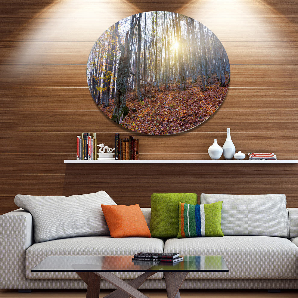 Setting Sun In Dense Fall Forest, Forest Disc Metal Wall Art, 36"