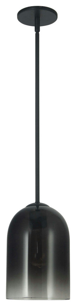 1 Light Pendant, Matte Black with Black / Clear Glass
