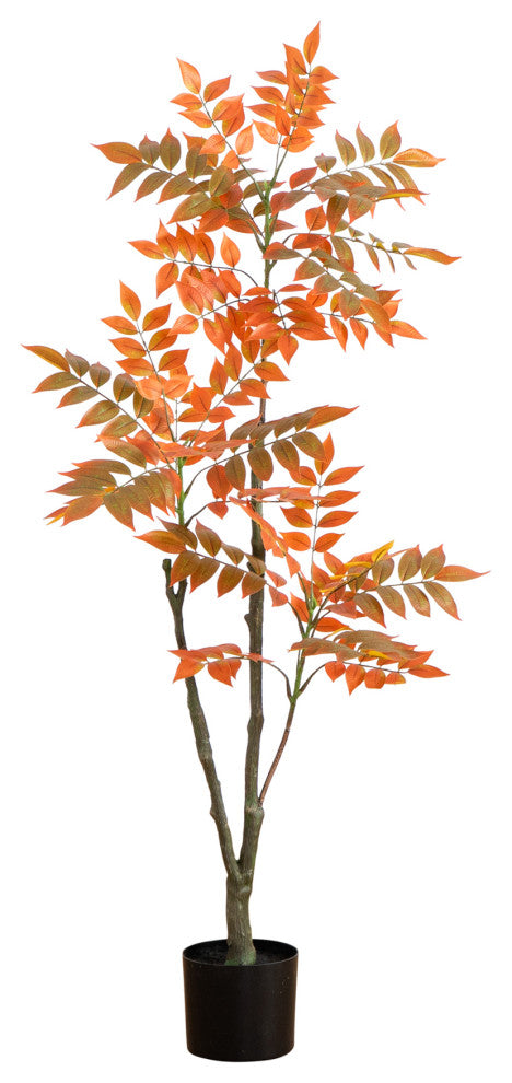 Alternate white full view: full plant on white background.