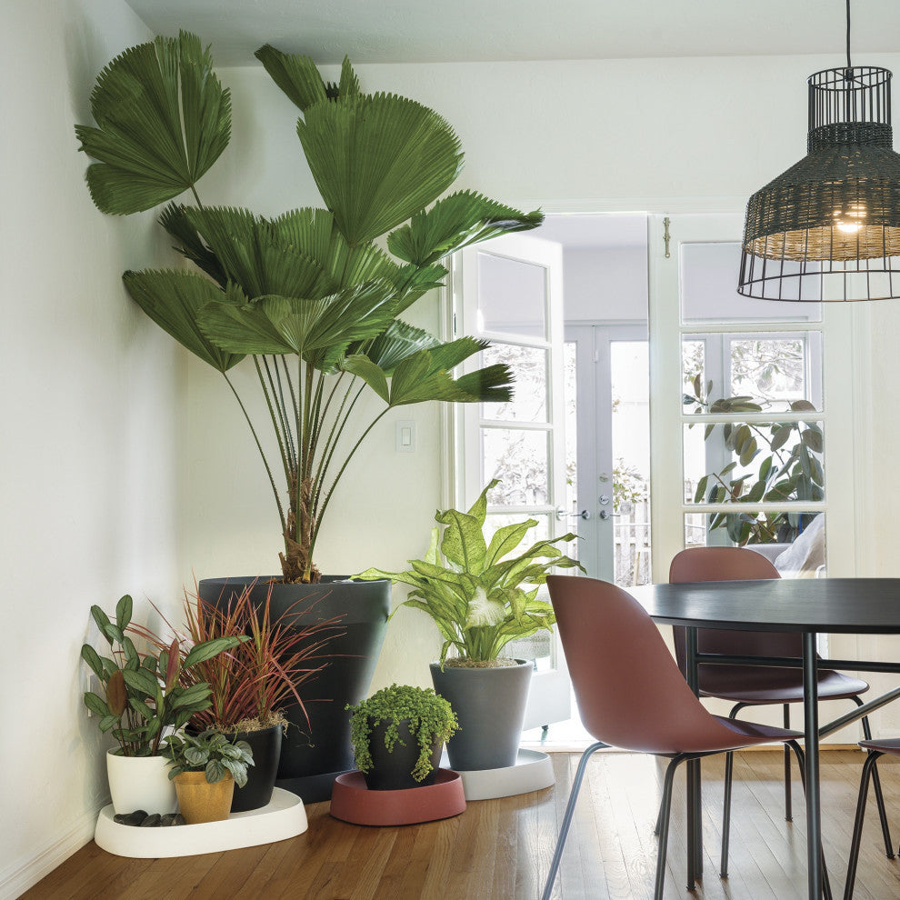 Pebble  Modern Plant Caddy with Hidden Wheels, Slate Dark Gray, Large