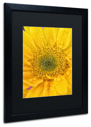 PIPA Fine Art 'Joyful Color' Matted Framed Art, 20x16