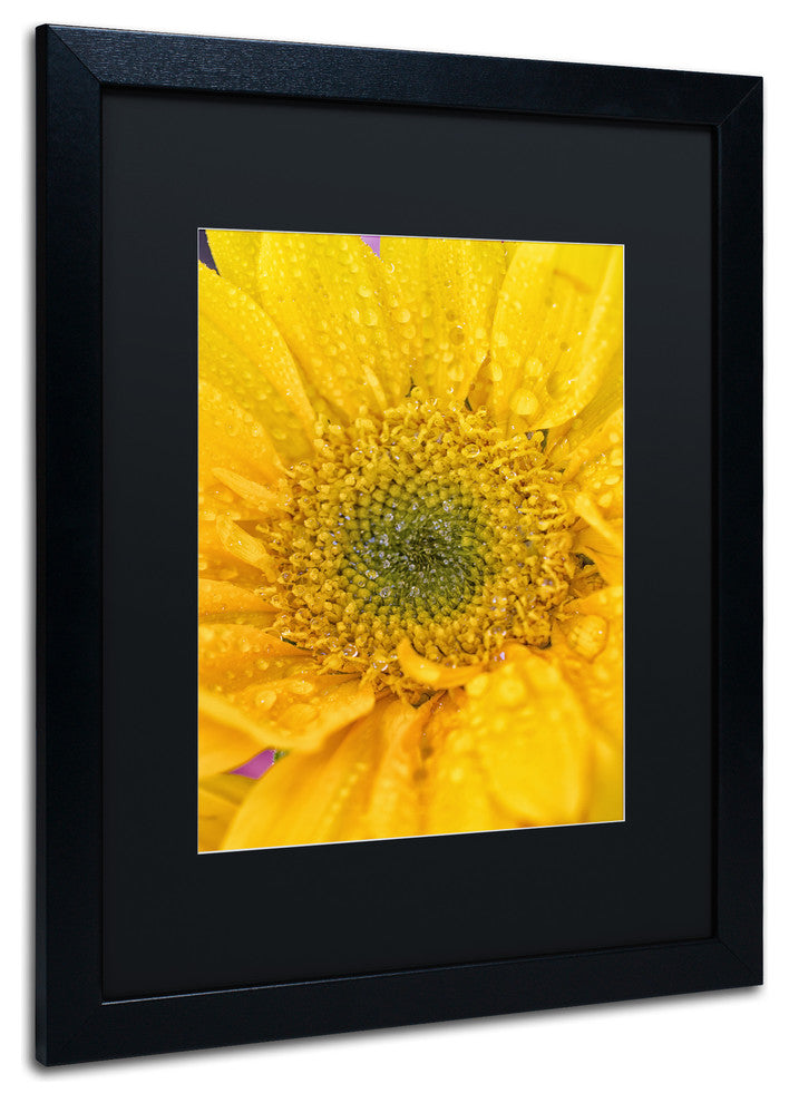 PIPA Fine Art 'Joyful Color' Matted Framed Art, 20x16