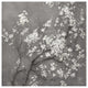 "White Cherry Blossoms I on Grey Crop" Paper Print by Danhui Nai, 42"x42"