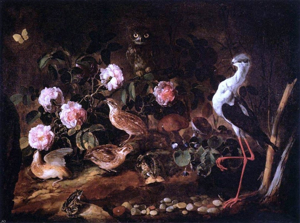 Paolo Porpora Still-Life with an Owl and an Ibis Gallery Wrapped Canvas Print
