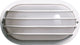 1 Light 10" Oval Cage Wall Fixture Polysynthetic Body and Lens