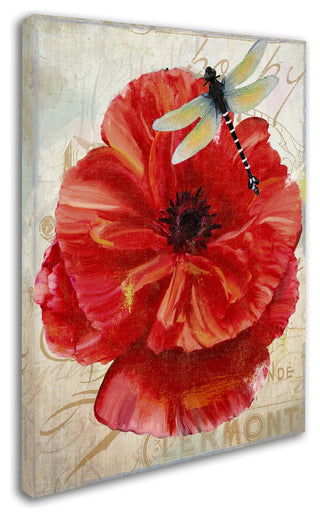 Color Bakery 'Le Pavot Dragonfly' Canvas Art, 14x19